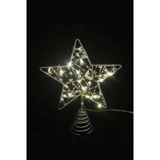 👉 Wit Central park boomtop ster 20 LED 24cm 5400107439126