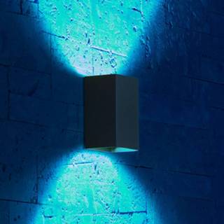 👉 Buitenwandlamp Amazon Alexa a+ IOS app zwart aluminium Philips Hue WACA Resonate