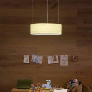 👉 Hang lamp ivoor a+ LZF Gea Slim LED hanglamp Casambi-app