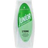 👉 Haarversteviger active Junior Strong, 125 ml 5410091748098