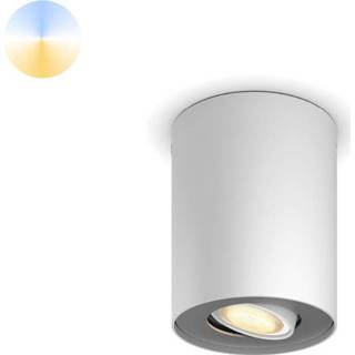 👉 Wit active Philips Hue Pillar - White Ambiance 1-lichts 929003046801 8719514338500