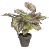 👉 Begonia rood grijze Kunstplant In Sierpot H40 Cm X D38 - Kunstplanten 8718861428896