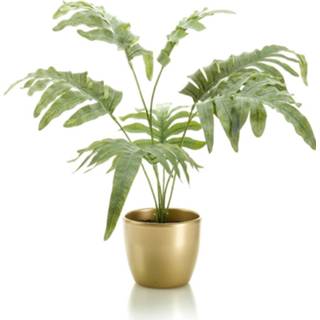 👉 Kunstplant grijs groen gouden Phlebodium Grijs/groen 67 Cm In Pot - Kunstplanten 8714344346442