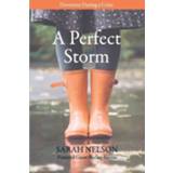 👉 Engels A Perfect Storm 9780578954875