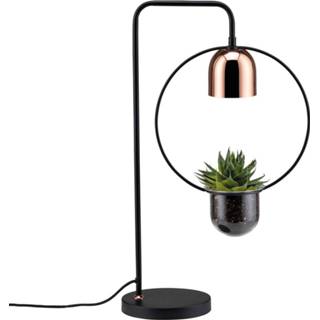 👉 Paulmann tafellamp Fanja met plantenbak