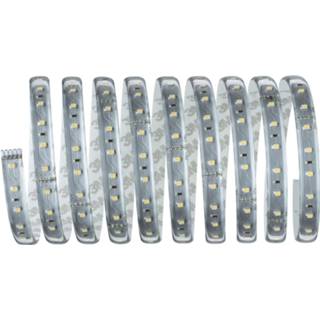 👉 Warmwit zilver a+ kunststof Paulmann MaxLED 500 LED strip 3m 2.700K