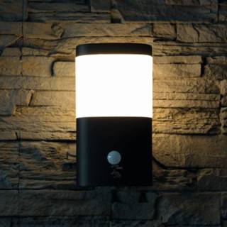 👉 Buiten wandlamp roestvrij staal RVS wit a+ warmwit zwart LED buitenwandlamp Camella met sensor