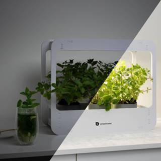 👉 LED kas ISL-60025, plantenlamp