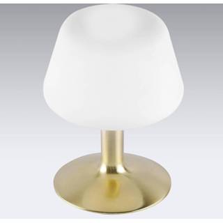 👉 Tafel lamp staal a++ warmwit mat messing Till - kleine LED tafellamp met messingvoet