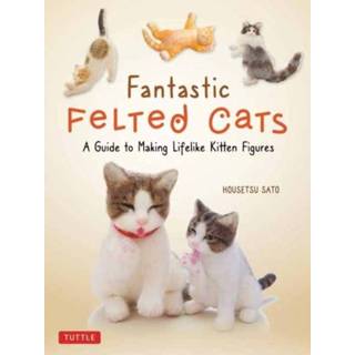 👉 Engels Fantastic Felted Cats 9780804853774