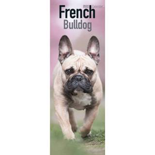 👉 Kalender Huisdieren/dieren 2022 Franse Bulldog Honden 15 X 42 Cm - Jaarkalenders 9781839413421