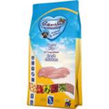 👉 Honden voer Renske Adult Kip - Hondenvoer 2 kg Graanvrij 8717185298215