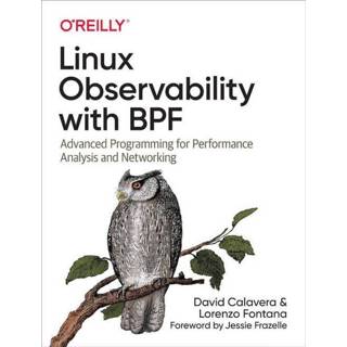 👉 Engels Linux Observability with BPF 9781492050209
