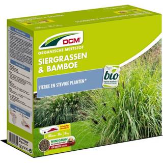 👉 Sier gras bamboe Dcm Siergras En 50 m2 - Graszaden 3 kg 5413448133554 5413448133684