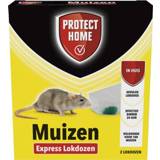 👉 Protect Home Express Muizenmiddel Lokdoos - Ongediertebestrijding - 2 stuks