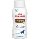 👉 Royal Canin GI High Energy Liquid Hond - 3 x 200 ml 3182550858878