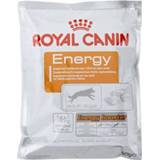 👉 Honden snack Royal Canin Energy Trainingsbrokje - Hondensnacks 50 g 3182550784641