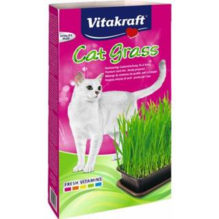 👉 Katten snack Vitakraft Cat Gras - Kattensnack Natuur 120 g 4008239240316