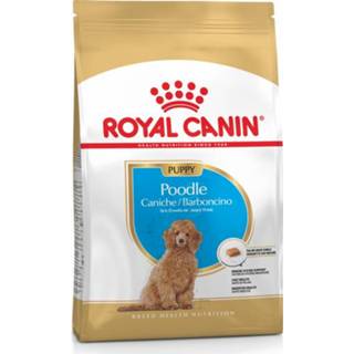 👉 Royal Canin Poodle Puppy - Puppy-Hondenvoer 3 kg 3182550765206