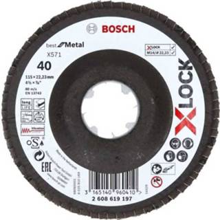 👉 Bosch Bosc X-LOCK Fächerscheib. BfM,115mm,K40 3165140960410