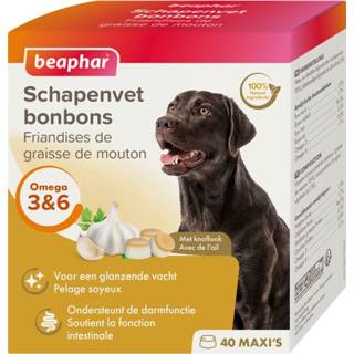 👉 Honden snack medium Beaphar Schapenvetbonbons Knoflook - Hondensnacks 8711231102006 8711231110216