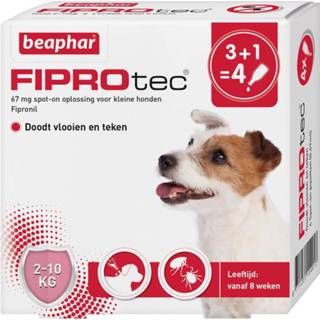👉 Pipet Beaphar FiproTec dog 2-10kg (NL) 4 Pipetten x 0,67 ml (APO) 8711231154913