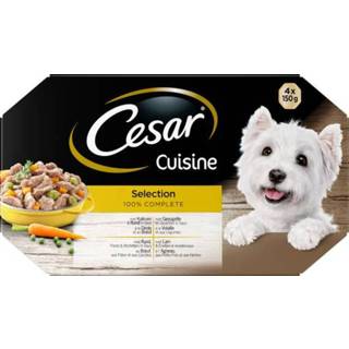 👉 Cesar Alu Multipack Cuisine - Hondenvoer - Mix 4x150 g