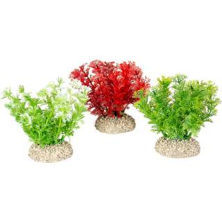 👉 Kunst plant Aqua Della Decor Hottonia - Aquarium Kunstplant 10 cm Assorti 4047059457955