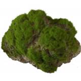 👉 Aqua Della Decor Moss Stone Met Zuignap Large - Aquarium - Ornament - 17x11x13.5 cm
