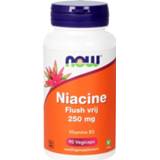 👉 Niacine flush vrij 250 mg 733739102720