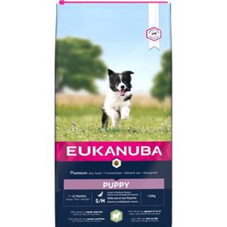👉 Puppyvoer small medium Eukanuba Dog en - Lam Rijst 12 kg 8710255168777