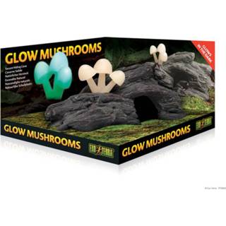 👉 Exo Terra Schuilplaats Glow Mushrooms - Ornamenten - 23x14x10 cm Natuurlijk