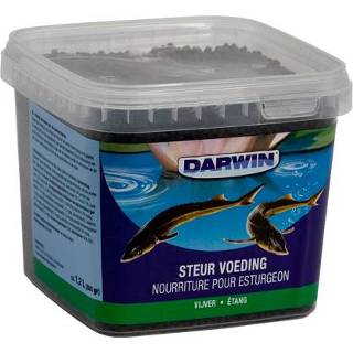 👉 Darwin Steur Vijvervoeding - Vijvervoer - 1.2 l