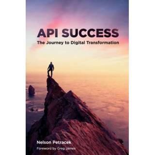 👉 Engels API Success 9781634628525