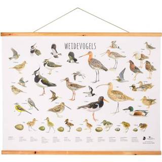 👉 Wandposter active Weidevogels 5051054261683