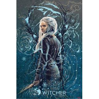Poster unisex meerkleurig Hoofdmateriaa Papier The Witcher - Ciri Swallow 5050574349222