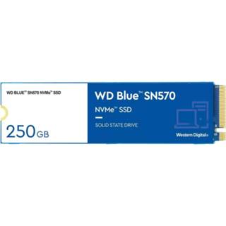 👉 Blauw WD Blue SN570 250GB M.2 718037887234