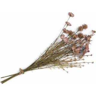 👉 Kunstplant active Coco maison Dry flower bouquet 8719911615198