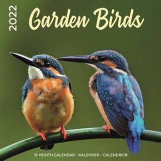 👉 Kalender - 2022 Garden Birds 8720165756469