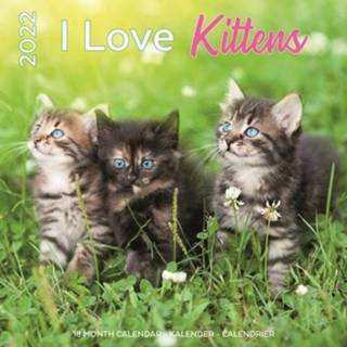 👉 Kalender - 2022 Kittens I Love 8720165756490