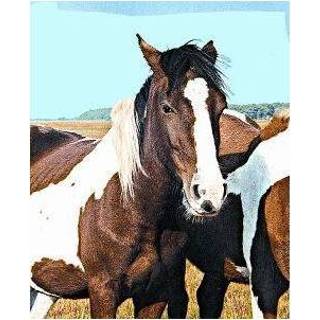 👉 Wild horse (wild paard) 8717624994432