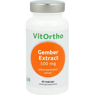 👉 Gember extract 500 mg 8717056141404