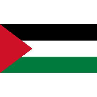 👉 Autosticker active Auto sticker Palestijnse vlag 7424950892851