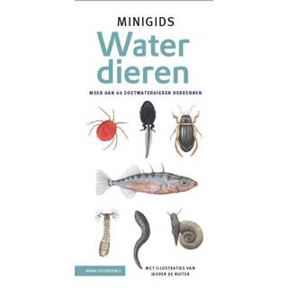 👉 Waterdier Minigids waterdieren - Jasper de Ruiter (ISBN: 9789050118408) 9789050118408