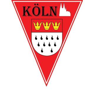 👉 Vlaggen lijn active rood witte Vlaggenlijntje met de rood-witte kleuren van Keulen 8712364840209