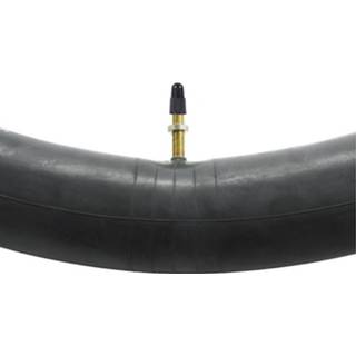 Binnenband WTB Presta Inner MTB Tube - Binnenbanden 5056201522365