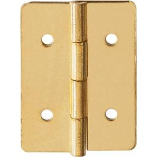 👉 Naaidoosscharnier 13x20mm vermessingd 8 stuks 8711613877355
