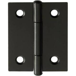 👉 Scharnier zwart 40x32mm 2 stuks 8711613882328
