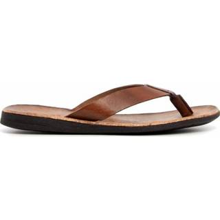 👉 Slippers male bruin Flip Flops 46-140 Mogano