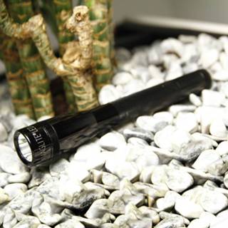 👉 Zaklamp zwart Nuttige led-Mini-Maglite,